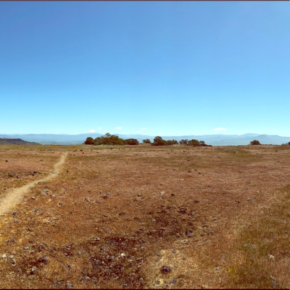 Not  for sale😂 - Picture 1 of 1